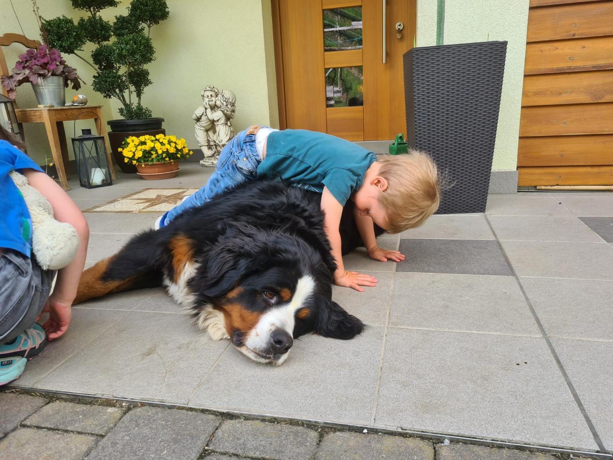 Kerschbamerhof Im Sueden Suedtirols Cortaccia Luaran gambar