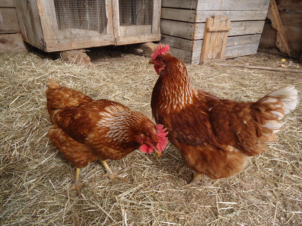 Kerschbamerhof Im Sueden Suedtirols Cortaccia Luaran gambar