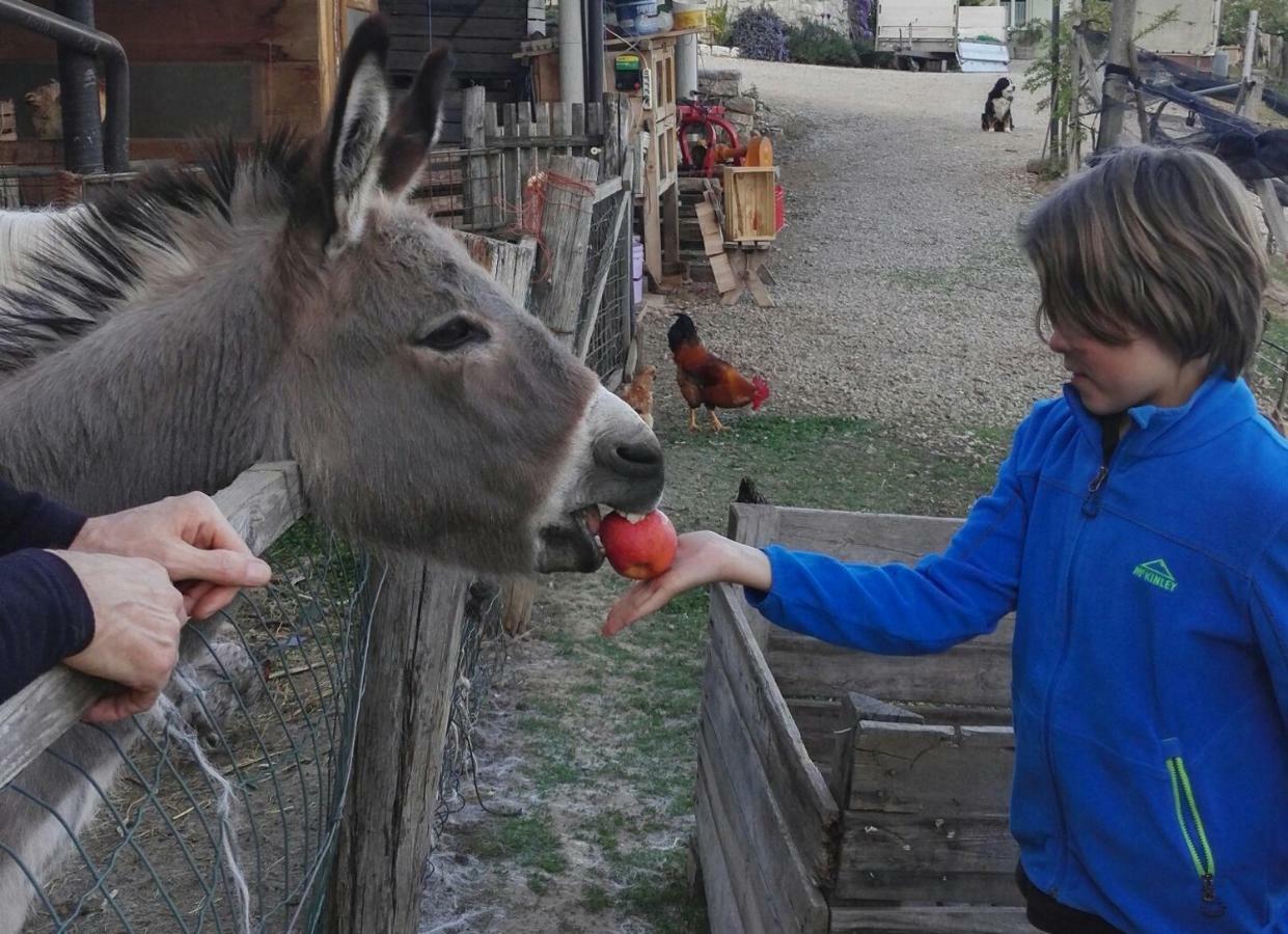 Kerschbamerhof Im Sueden Suedtirols Cortaccia Luaran gambar